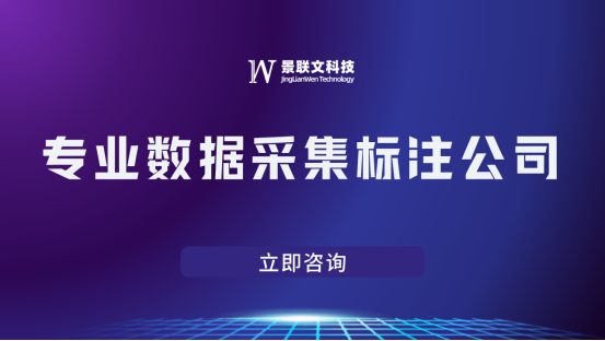 景联文科技：专业数据采集标注公司 ，助力企业提升算法精度！